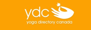 ydc_logo2