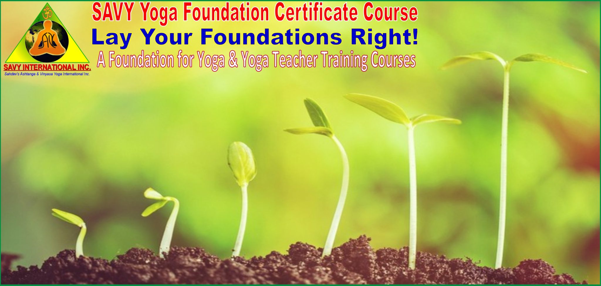 SAVY Yoga Foundation Certificate Course
