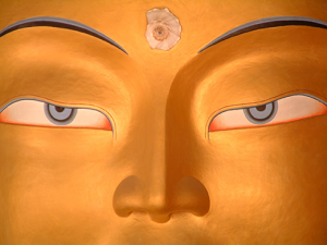 shambhavi