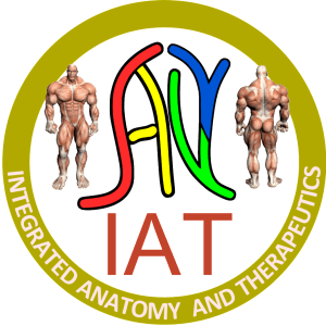 Integrated Anatomy and Therapeutics