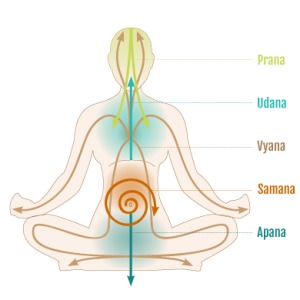 Vayus